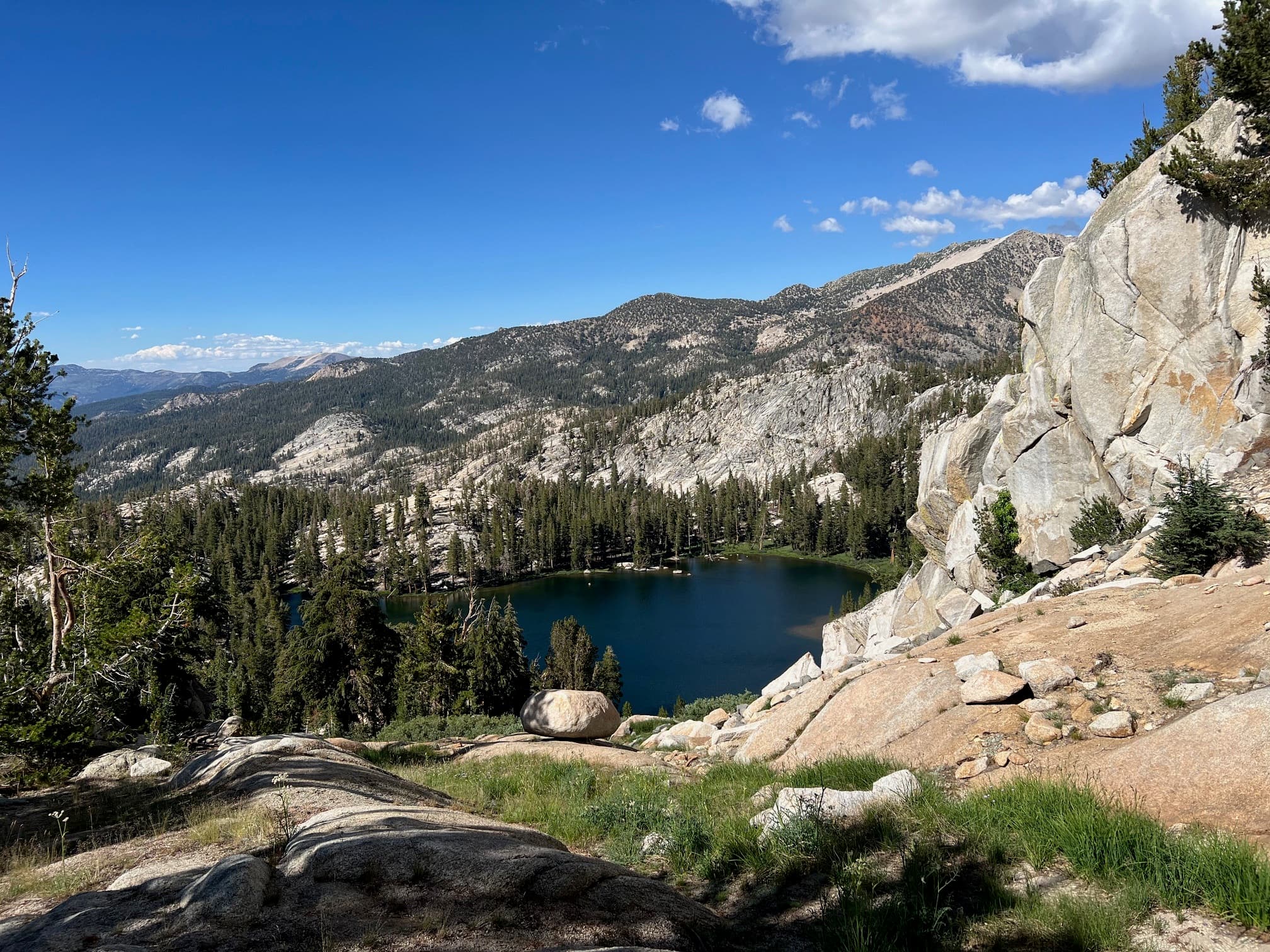 Northern California Park Background